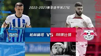 中国官网-柏林赫塔新球场效果图