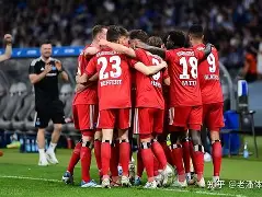 柏林赫塔新球场效果图 柏林赫塔新球场效果图