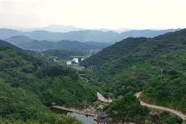 关于山东鲁能客场不敌上海申花,争议判罚引关注的信息 关于山东鲁能客场不敌上海申花,争议判罚引关注的信息